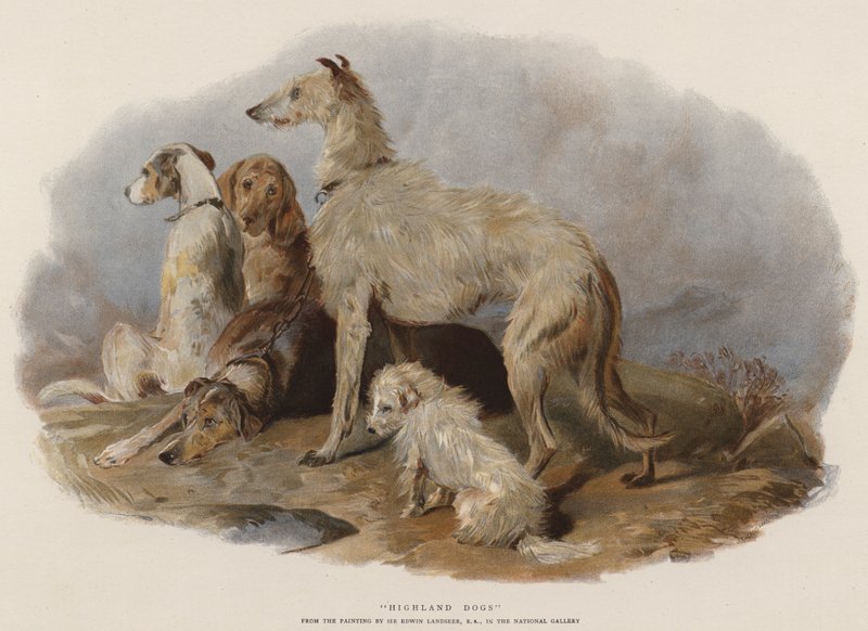 Hochlandhunde von Edwin Landseer