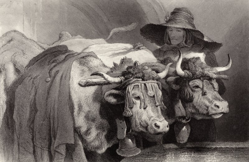 Ochsen am Tank, Genf, Schweiz von Edwin Landseer