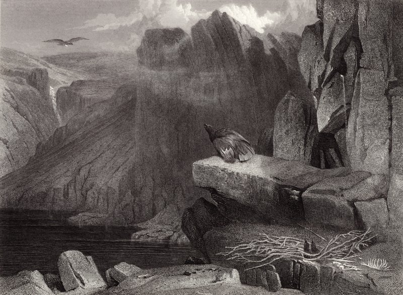 Das Nest des Adlers von Edwin Landseer