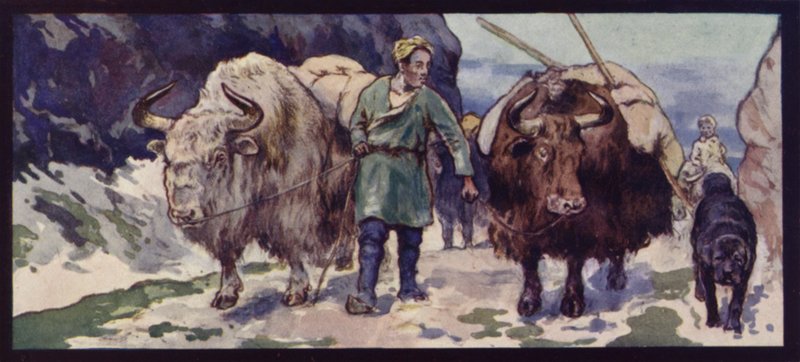 Ein tibetischer Yak-Zug von Edwin Noble