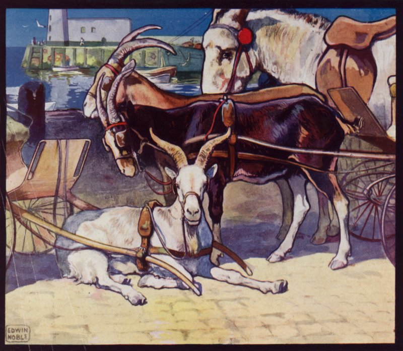 Ziegenkarren von Edwin Noble