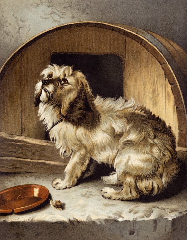 Nirgendwo ist es wie zu Hause von Edwin after Landseer