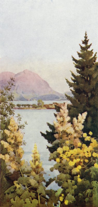 Ein Garten von Ella Du Cane