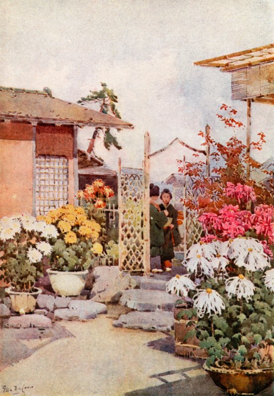 Chrysanthemen, Kyoto von Ella Du Cane