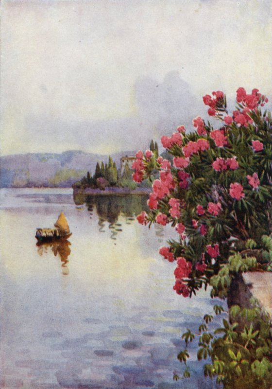 Oleander von Ella Du Cane