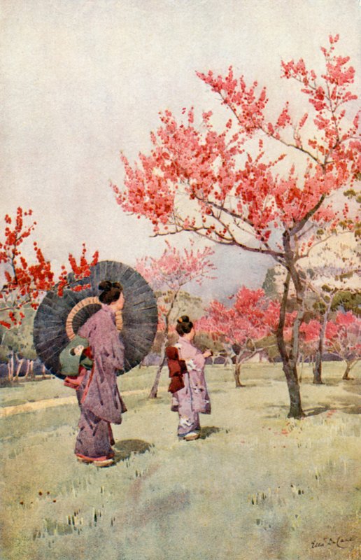 Pfirsichblüte von Ella Du Cane