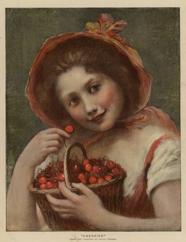 Kirschen von Emile Renard