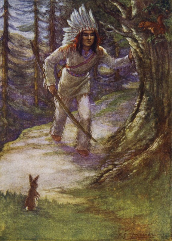 Schieße uns nicht, Hiawatha von Emily Farmer