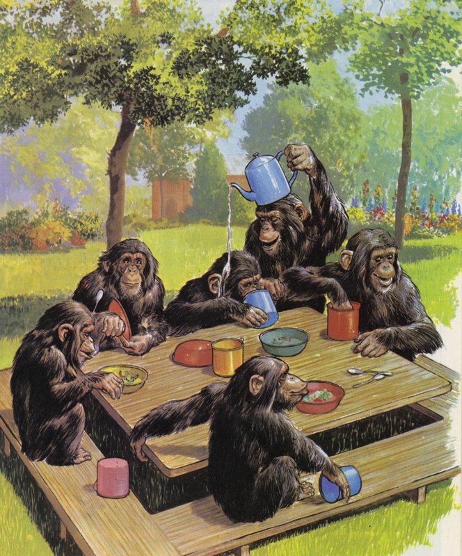Schimpansen-Teeparty im Zoo von English School