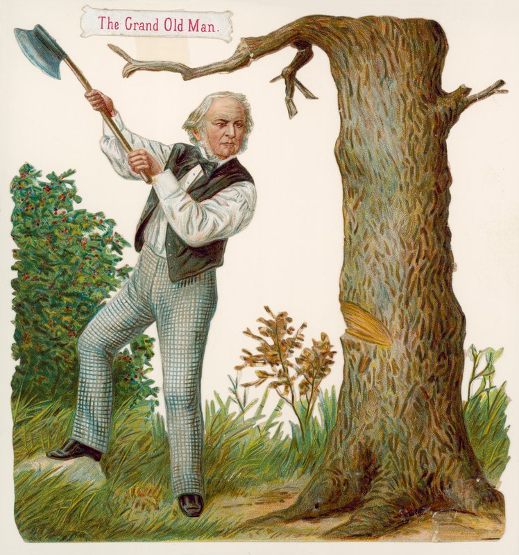 Der alte Mann von English School