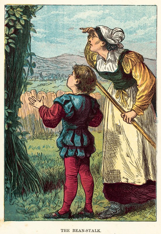 Die Bohnenranke von English School