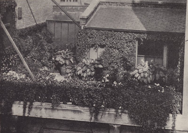 Ein Dachgarten von English Photographer