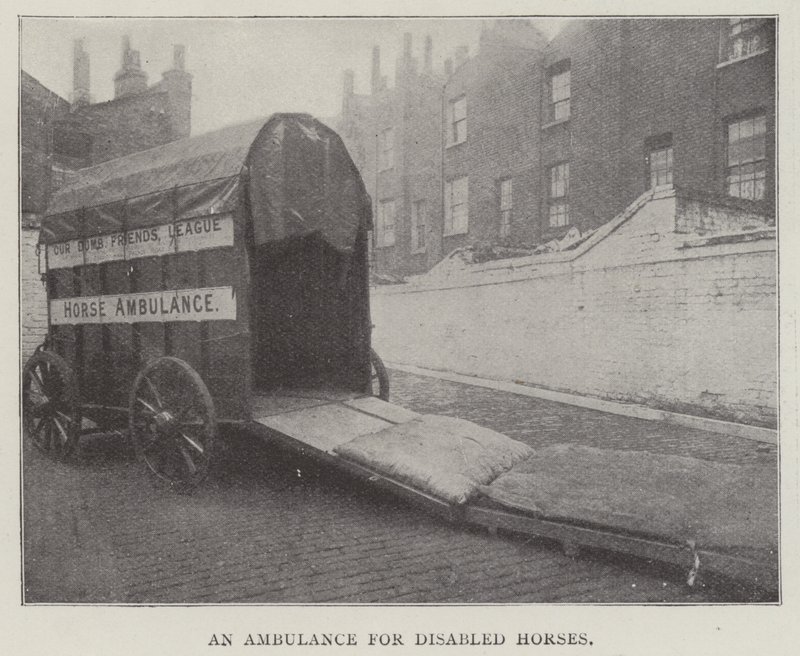 Ein Krankenwagen für behinderte Pferde von English Photographer