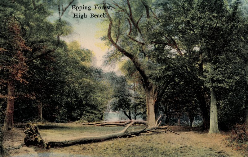 Epping Forest, High Beach von English Photographer
