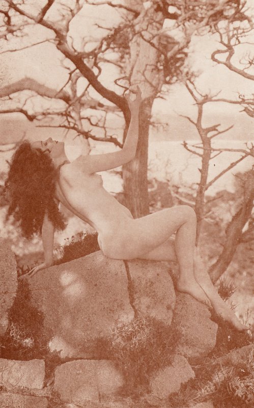 Nudistenkunst: Tanglewood von English Photographer