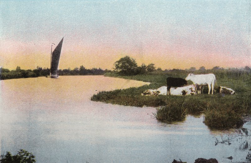 Auf der Bure von English Photographer