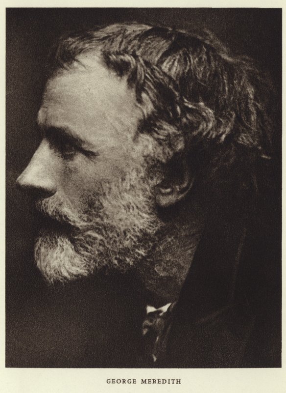 Porträt von George Meredith von English Photographer