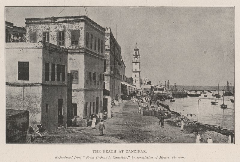 Der Strand von Sansibar von English Photographer