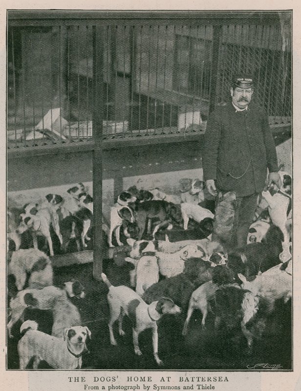 Das Hundeheim in Battersea von English Photographer