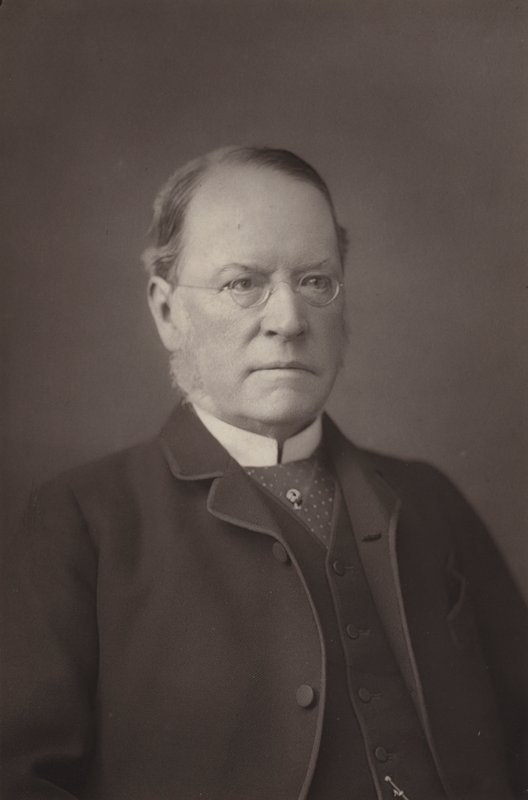 Der Ehrenwerte Sir Lyon Playfair von English Photographer