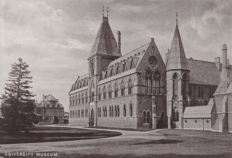 Universitätsmuseum von English Photographer
