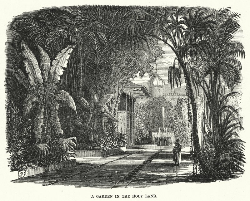 Ein Garten im Heiligen Land (Gravur) von English School
