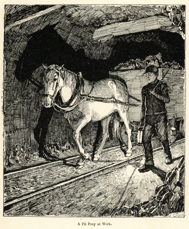 Ein Grubenpony bei der Arbeit (Gravur) von English School