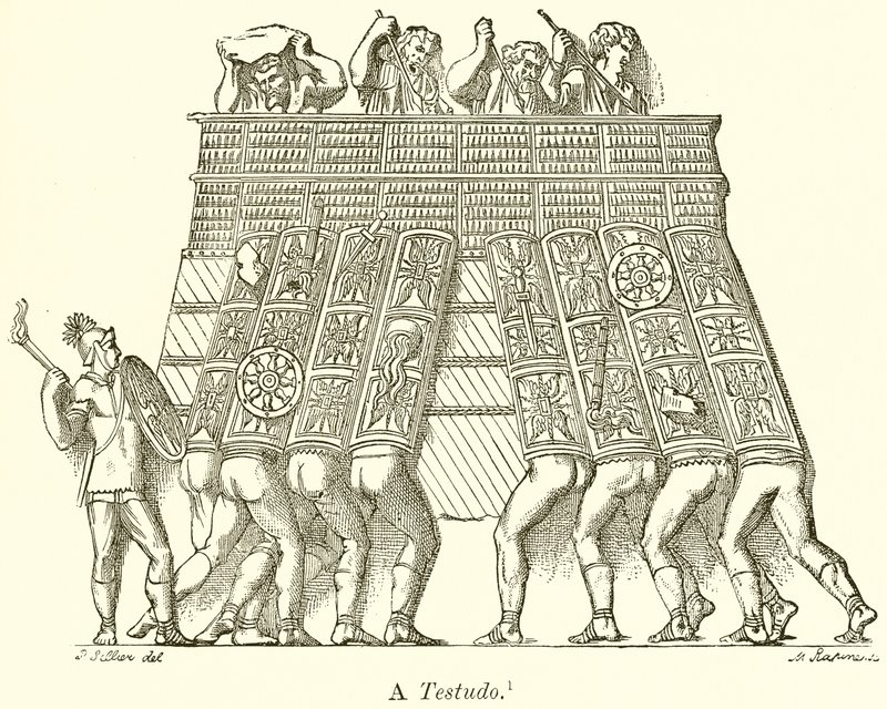 Eine Testudo von English School