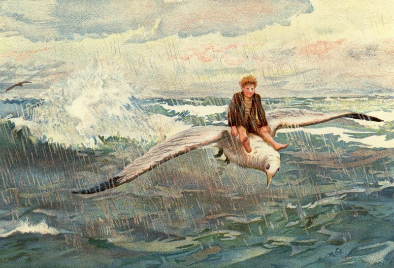 Eine Reise zum Nordwind von English School