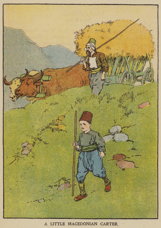 Ein kleiner mazedonischer Fuhrmann von English School