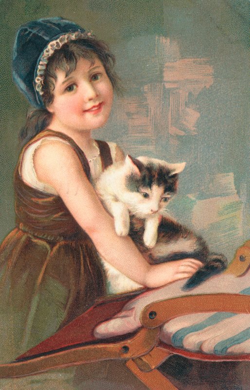 Ein junges Mädchen posiert mit einer Katze von English School