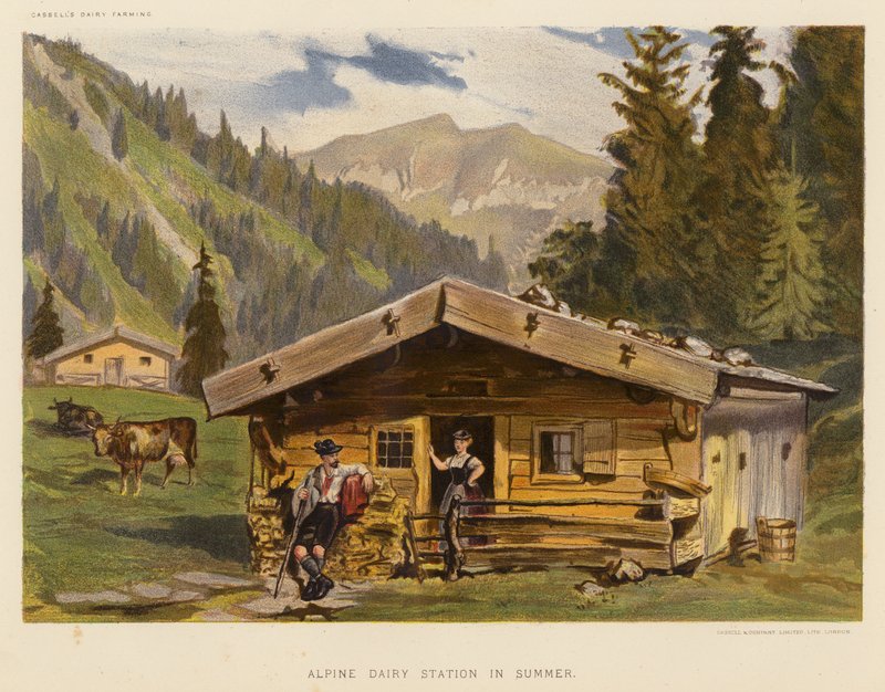 Alpine Molkerei im Sommer von English School
