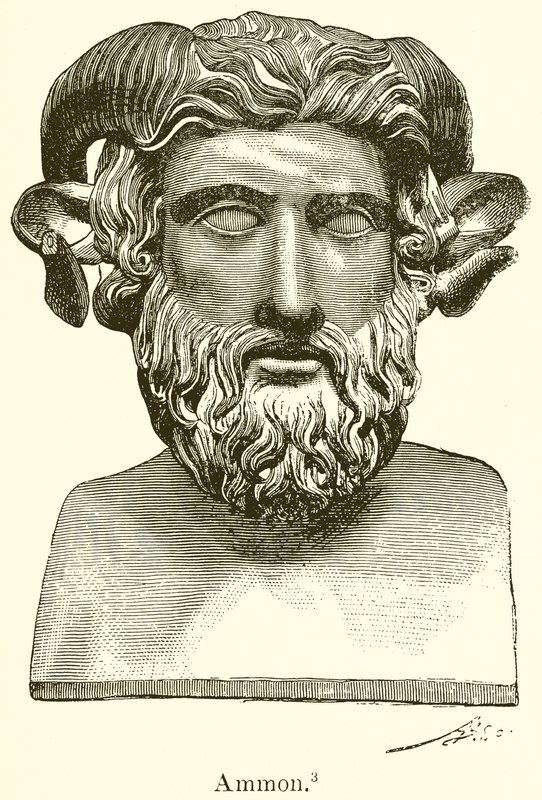 Ammon von English School