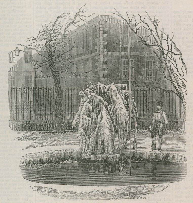 Ein Eiskristallbaum im Middle Temple von English School