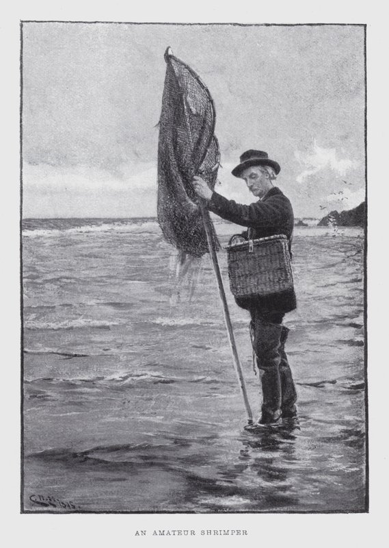Ein Amateur-Garnelenfischer (Lithographie) von English School