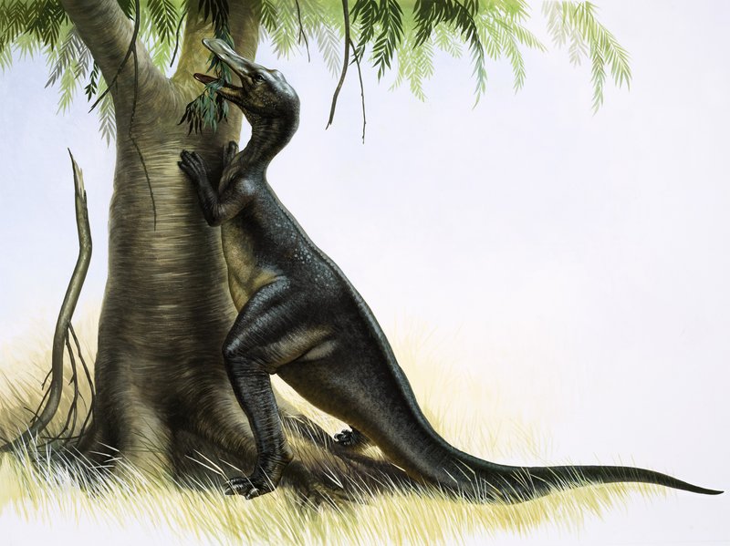 Anatosaurus von English School
