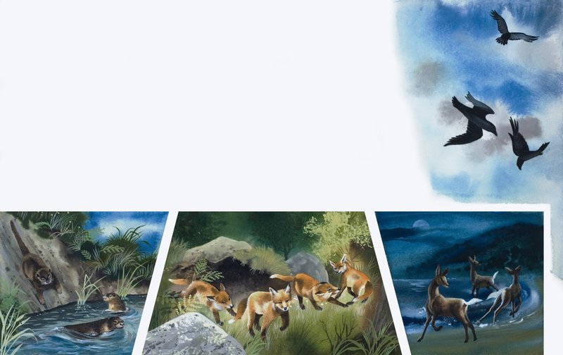 Tiere beim Spielen von English School