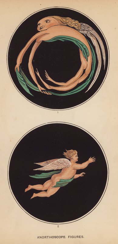 Anorthoskop-Figuren von English School