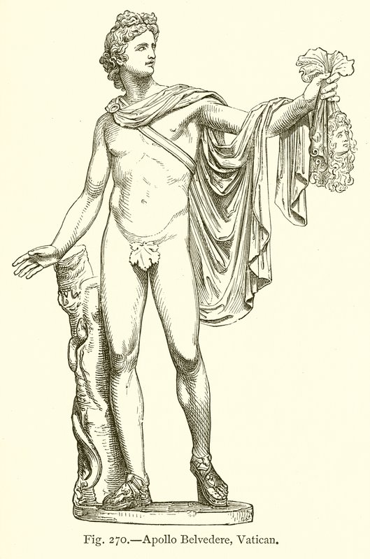 Apollo Belvedere, Vatikan von English School