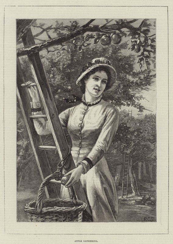 Apfelsammlung von English School