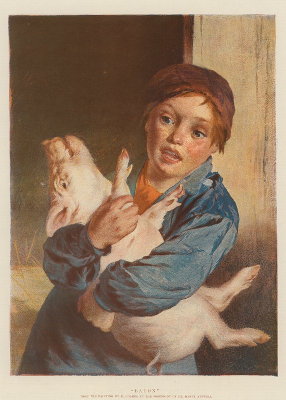 Speck (Chromolitho) von English School
