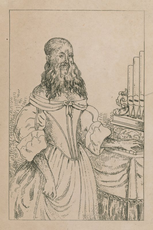 Bärtige Dame von English School