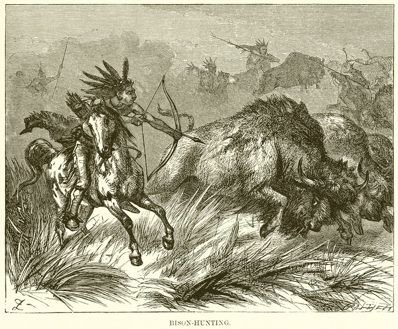 Bisonjagd von English School
