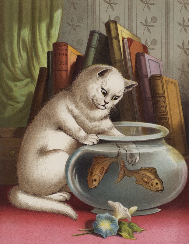 Blanchie und der Goldfisch von English School