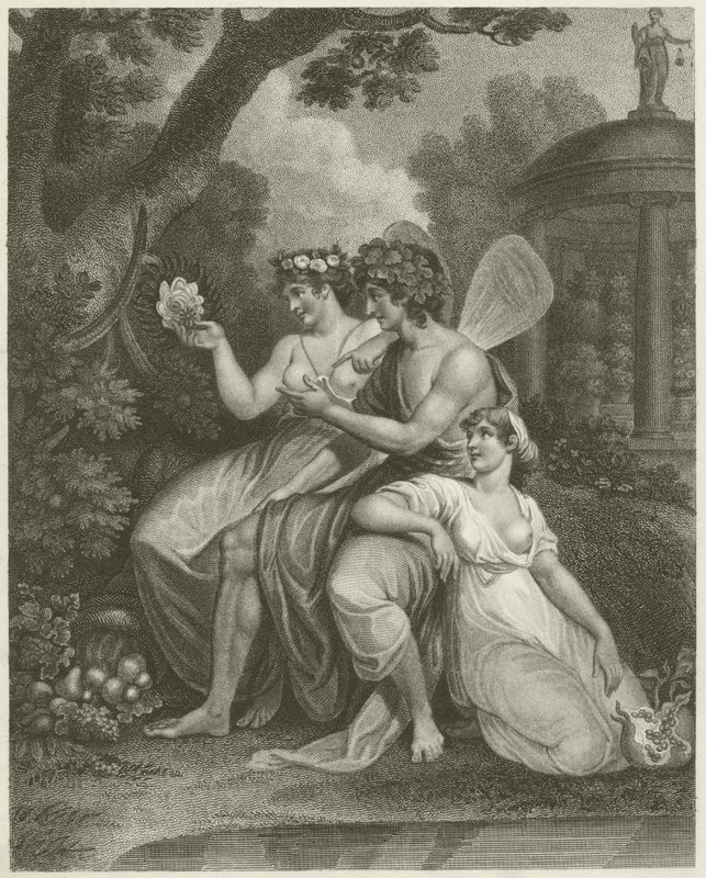 Botanik von English School