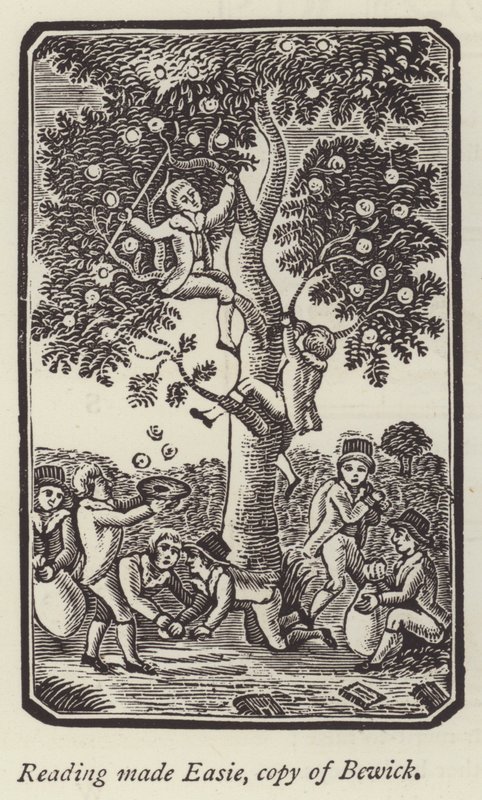 Jungen pflücken Äpfel (Stich) von English School