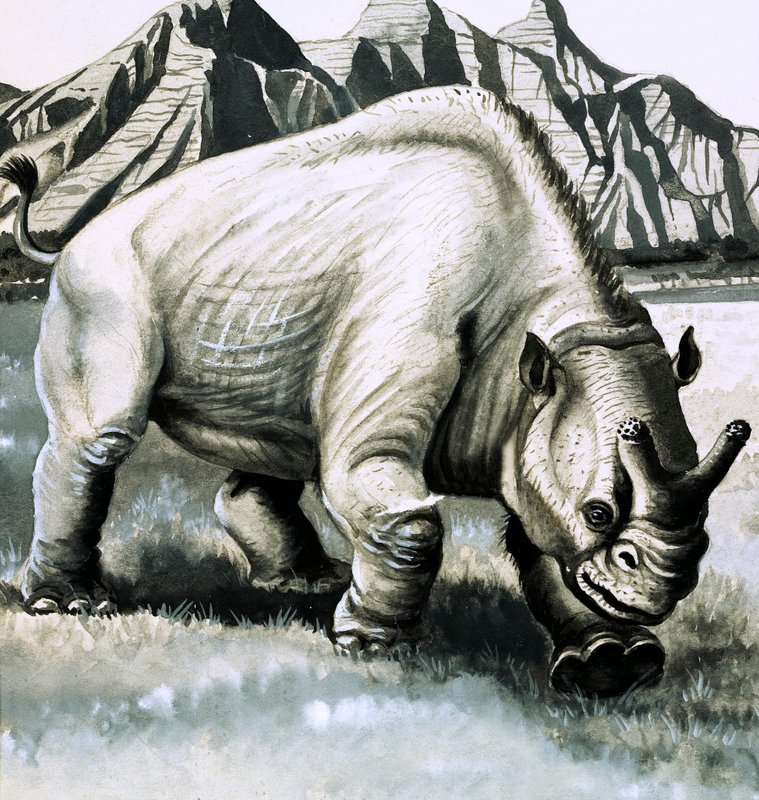 Brontotherium aus dem Oligozän von English School