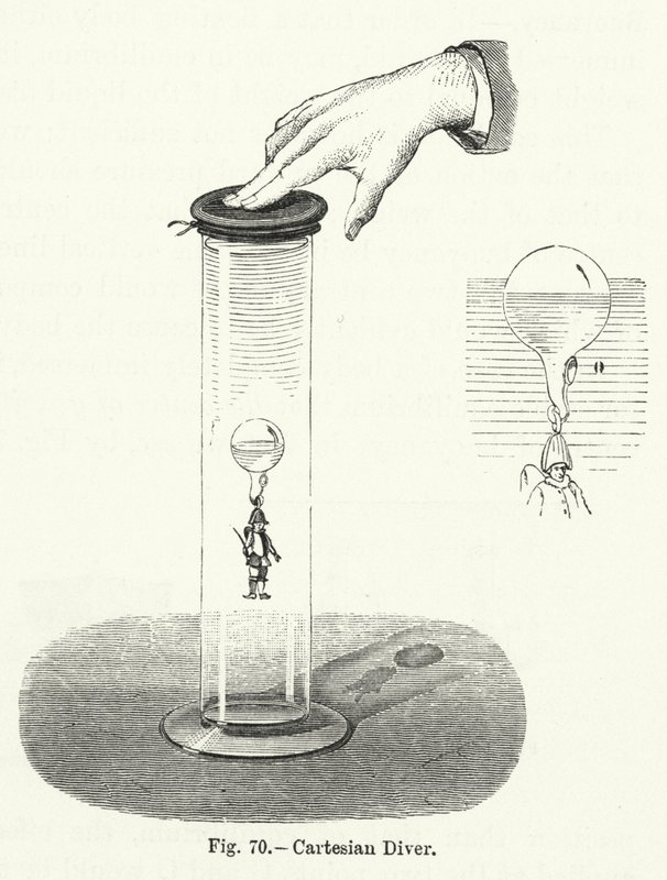 Kartesischer Taucher von English School