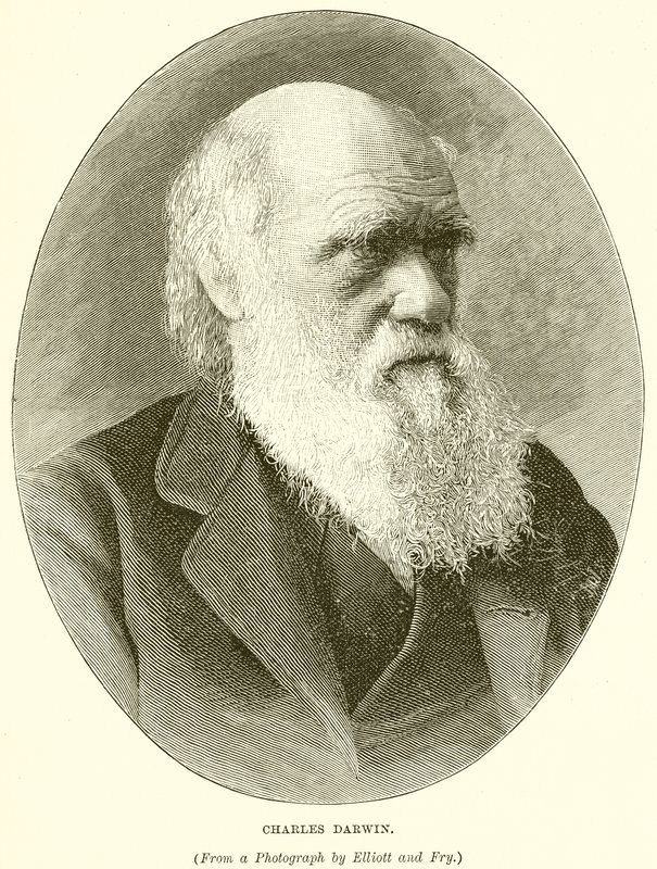 Charles Darwin von English School