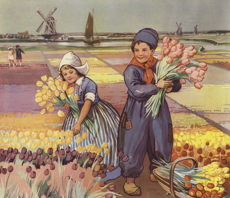 Kinder pflücken Tulpen in Holland von English School